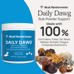 Real Mushrooms dog health measuring scoop—easy daily dosing for dogs.