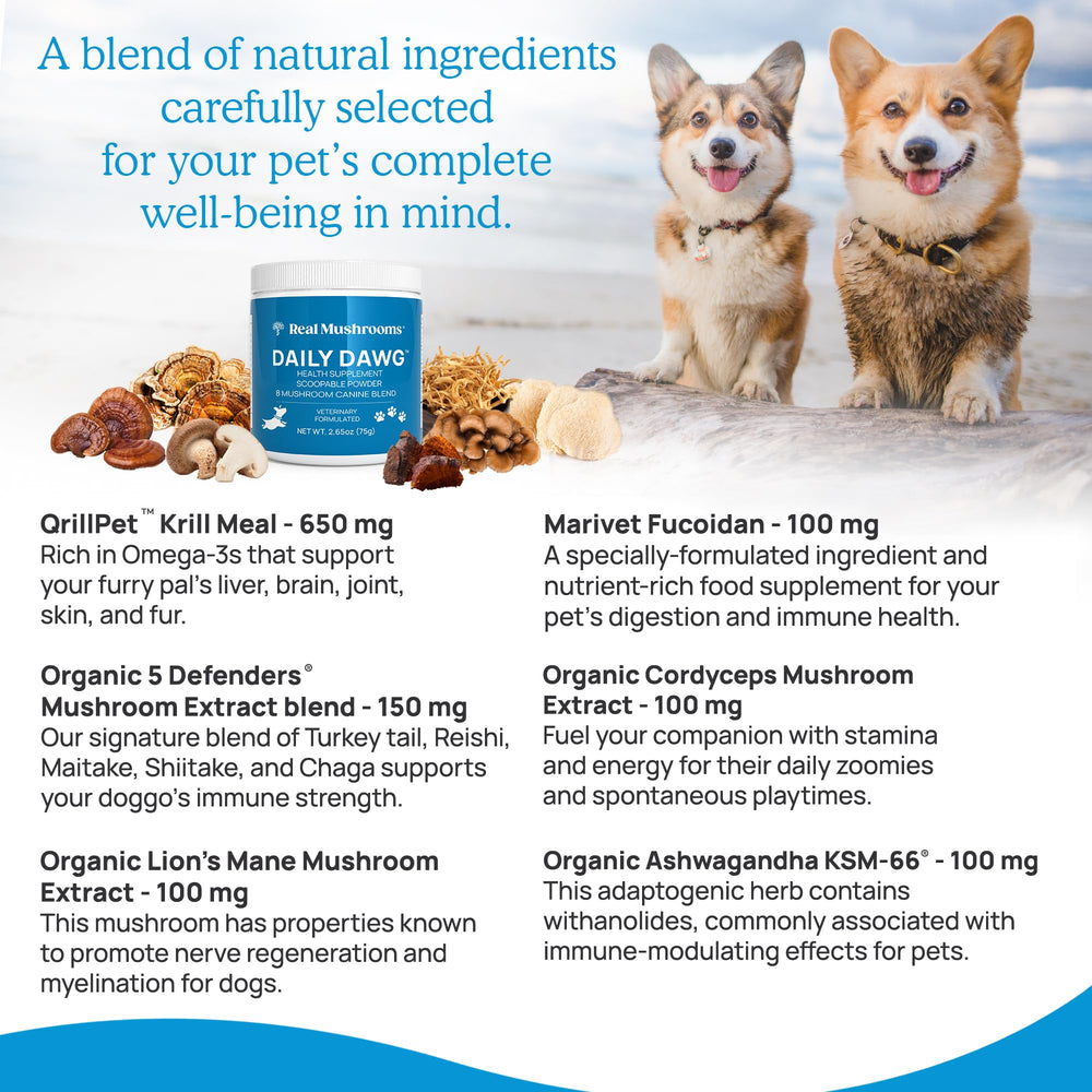 Real Mushrooms USA facility label—transparent production and quality.