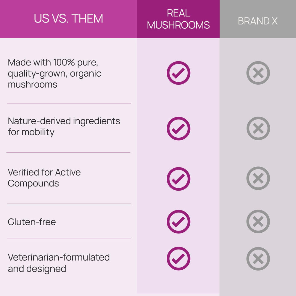 Real Mushrooms Fruiting body extracts image shows clean-label ingredients.