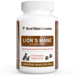 Real Mushrooms Lion’s Mane pet supplement bottle highlights organic, vegan ingredients for calm, alert pets.