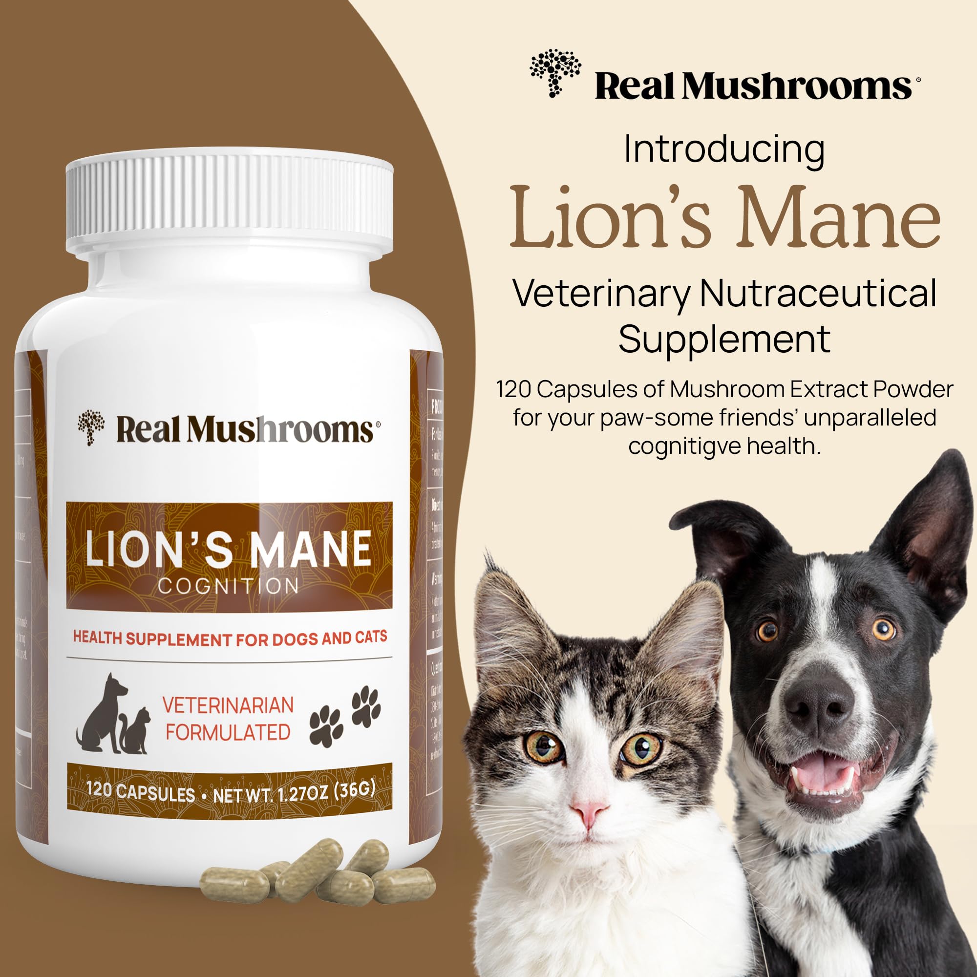 Real Mushrooms Lion’s Mane capsules close-up emphasizing clean-label formula for dogs and cats.