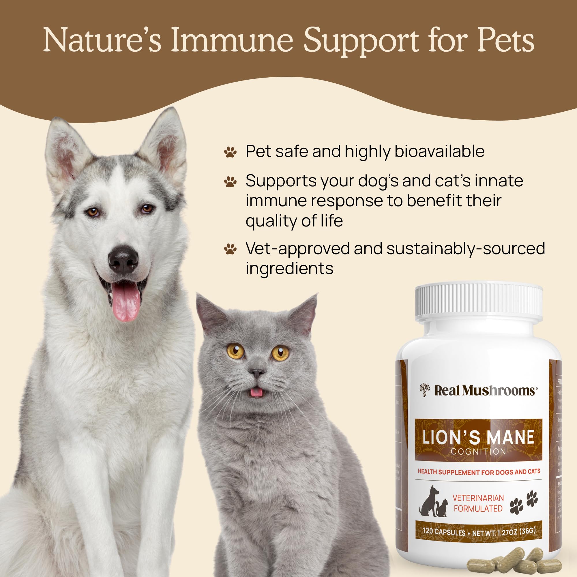 Real Mushrooms Lion’s Mane capsules shown with dog during training routines for focus.