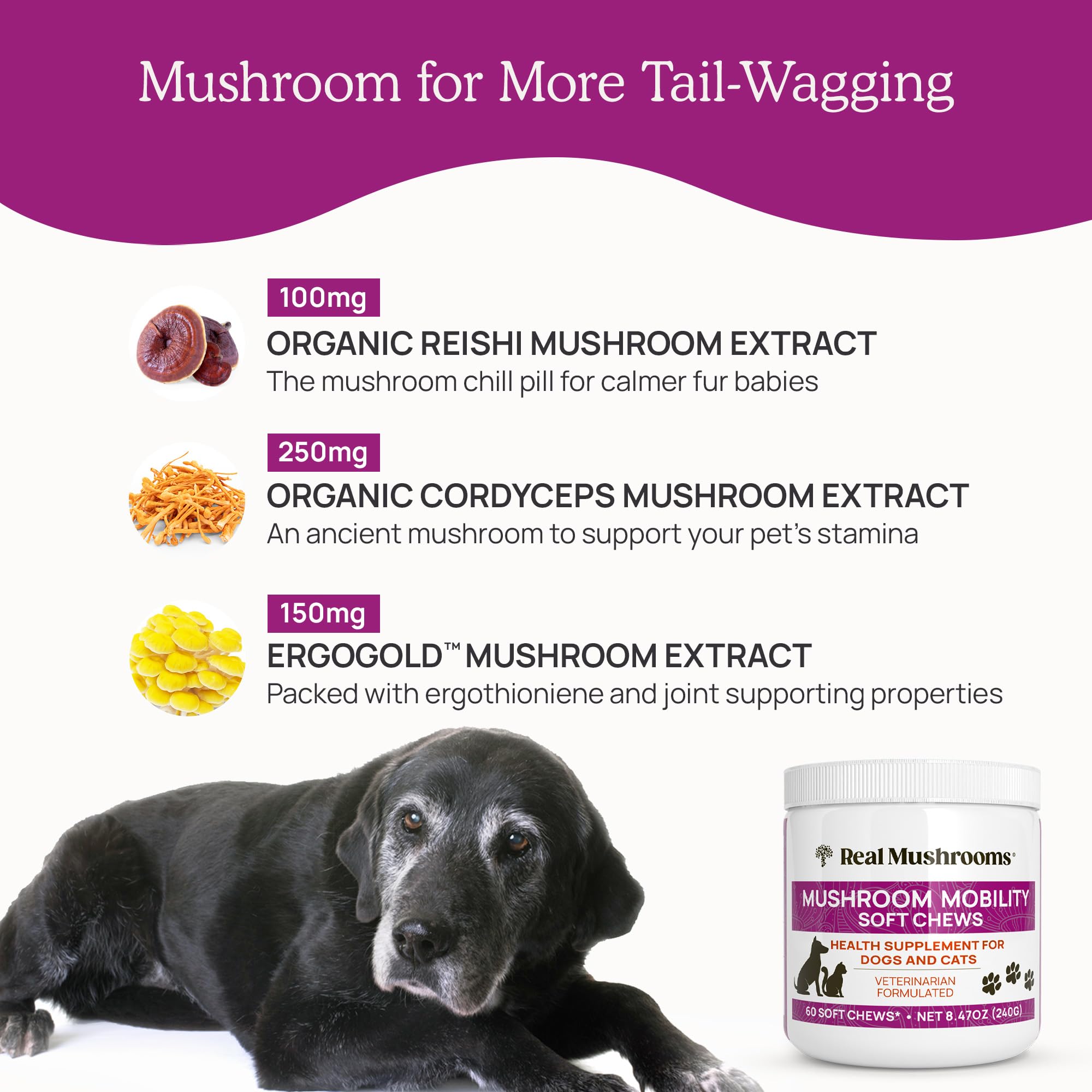 Real Mushrooms USA and NSF Certified seal signals safety and quality.