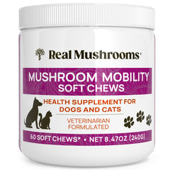 Real Mushrooms Mobility Chews packaging highlights joint support for active pets.