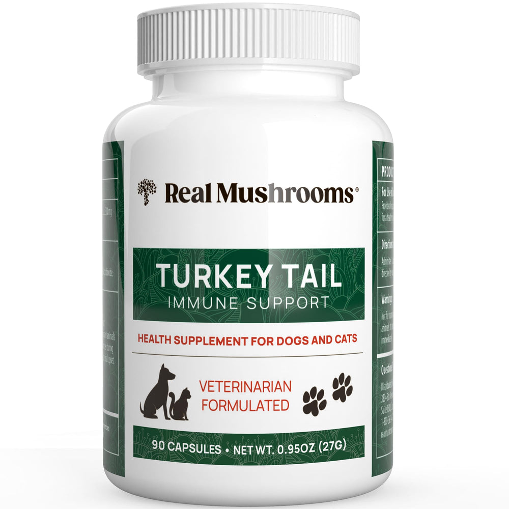 Real Mushrooms turkey tail capsules for pets bottle promotes easy daily supplementation for cats and dogs