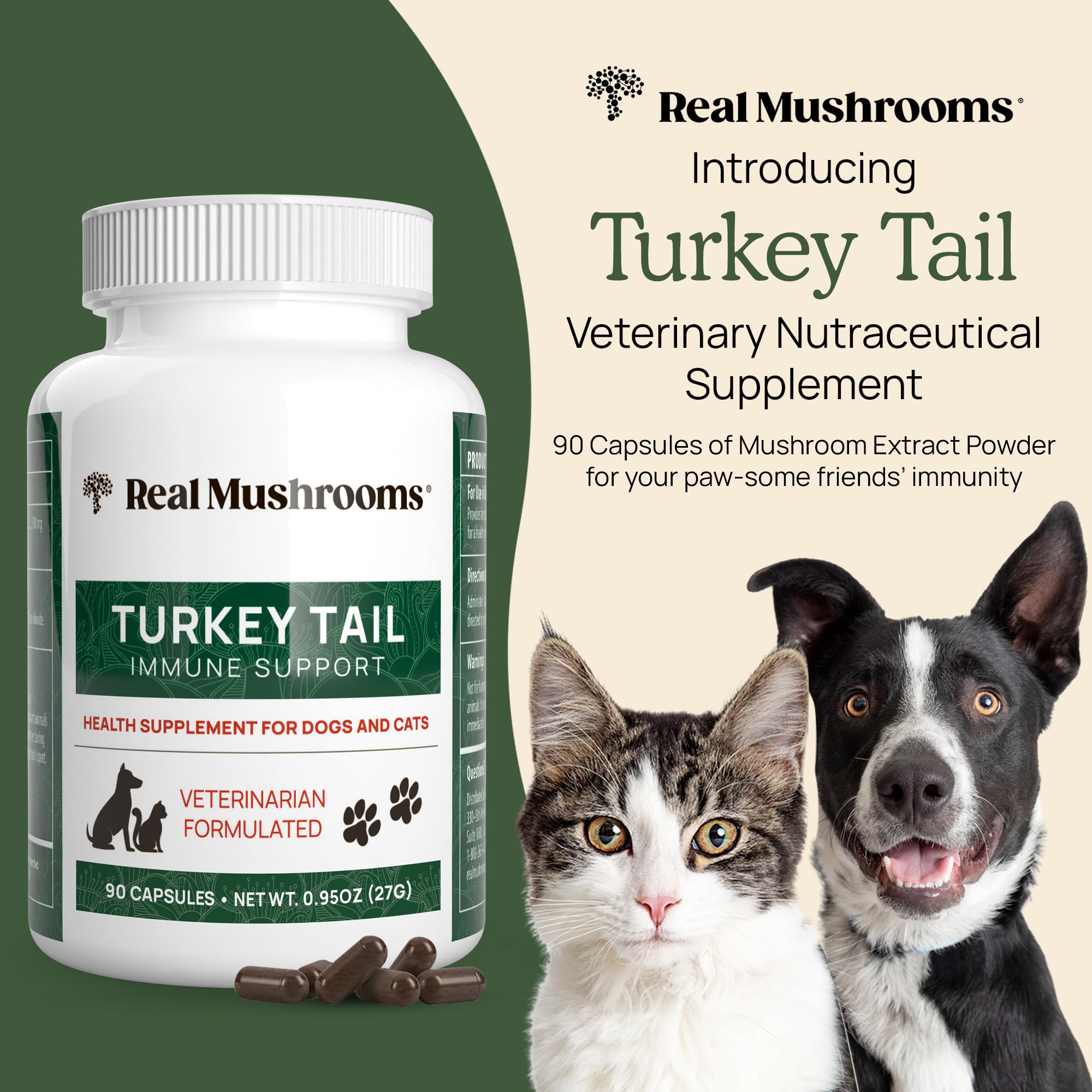 Real Mushrooms turkey tail mushroom closeup highlighting beta-glucans and nutrient-rich profile