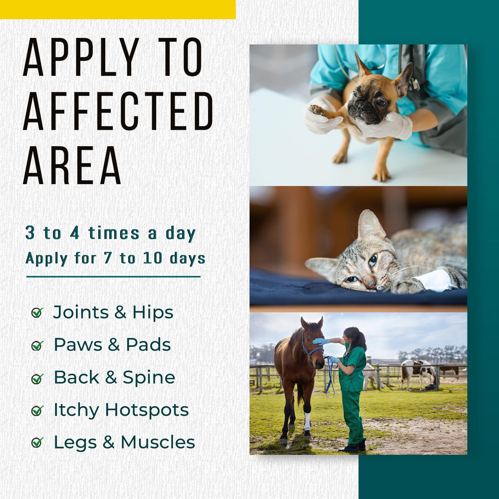 Real Time Pain Relief Menthol Aloe Arnica ingredients showcase natural soothing botanicals for pets.