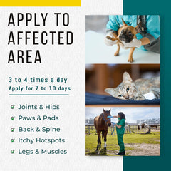 Real Time Pain Relief Menthol Aloe Arnica ingredients showcase natural soothing botanicals for pets.