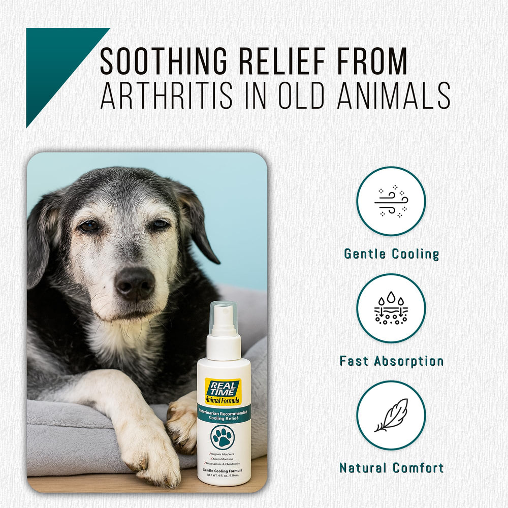 Real Time Pain Relief trusted family-owned brand behind pet relief for over two decades.