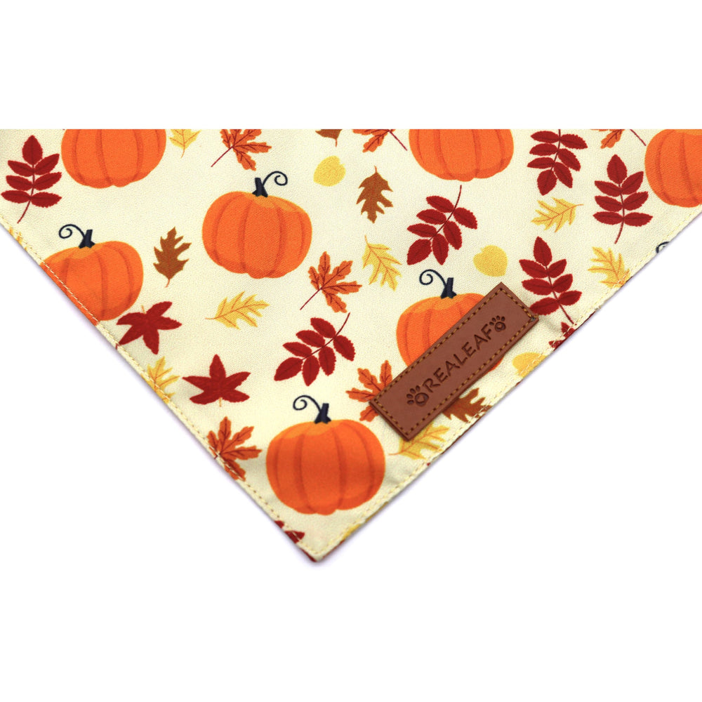 Conjunto de dos bandanas Realeaf, versatilidad para estilo diario.