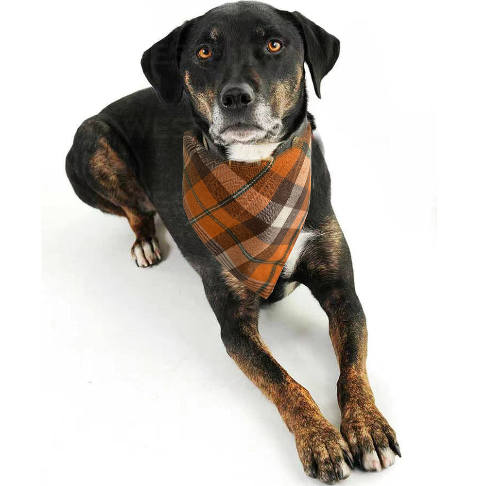 Realeaf fall Halloween Thanksgiving bandana in festive scene for photos
