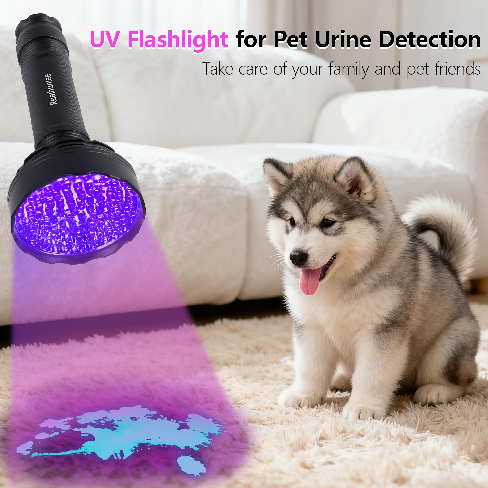 REALHUNLEE pet urine detection scan reveals hidden stains across carpets and bedding.