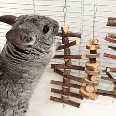 Rebecca Online 3pcs compact 7x2x1 inch chew block ideal for hamsters and small pets