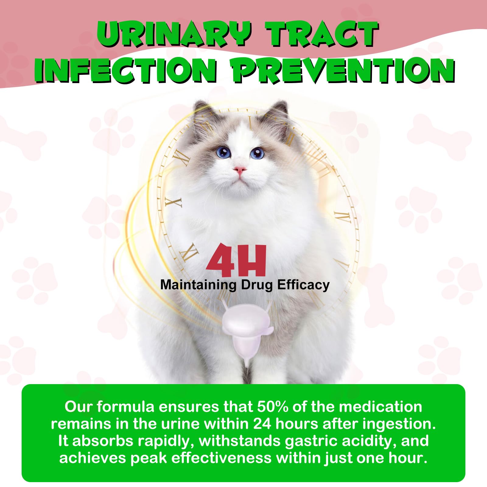 REBODUM pet health care scene depicting gentle daily support