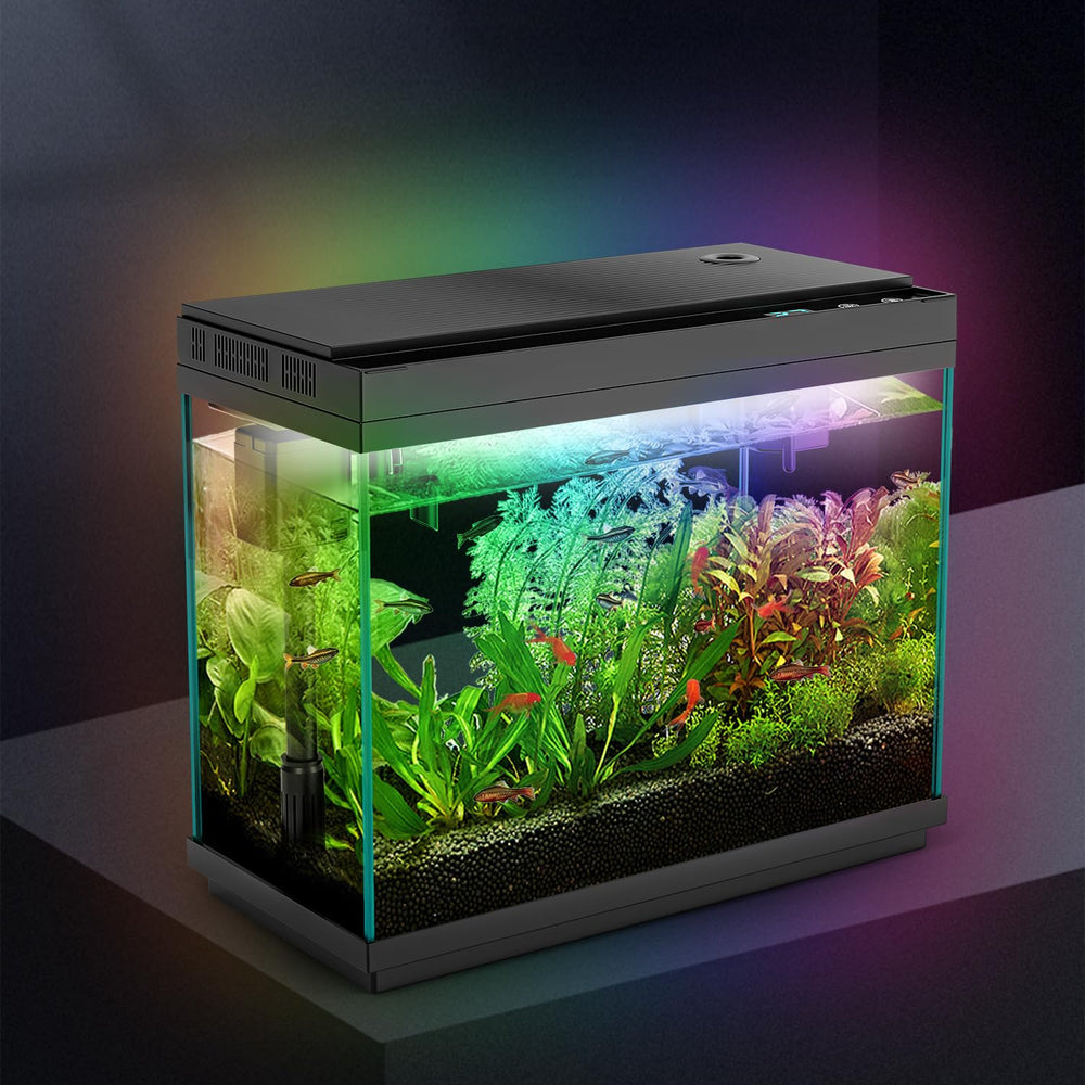 Rechale Smart Aquarium compact design fits desks and small spaces