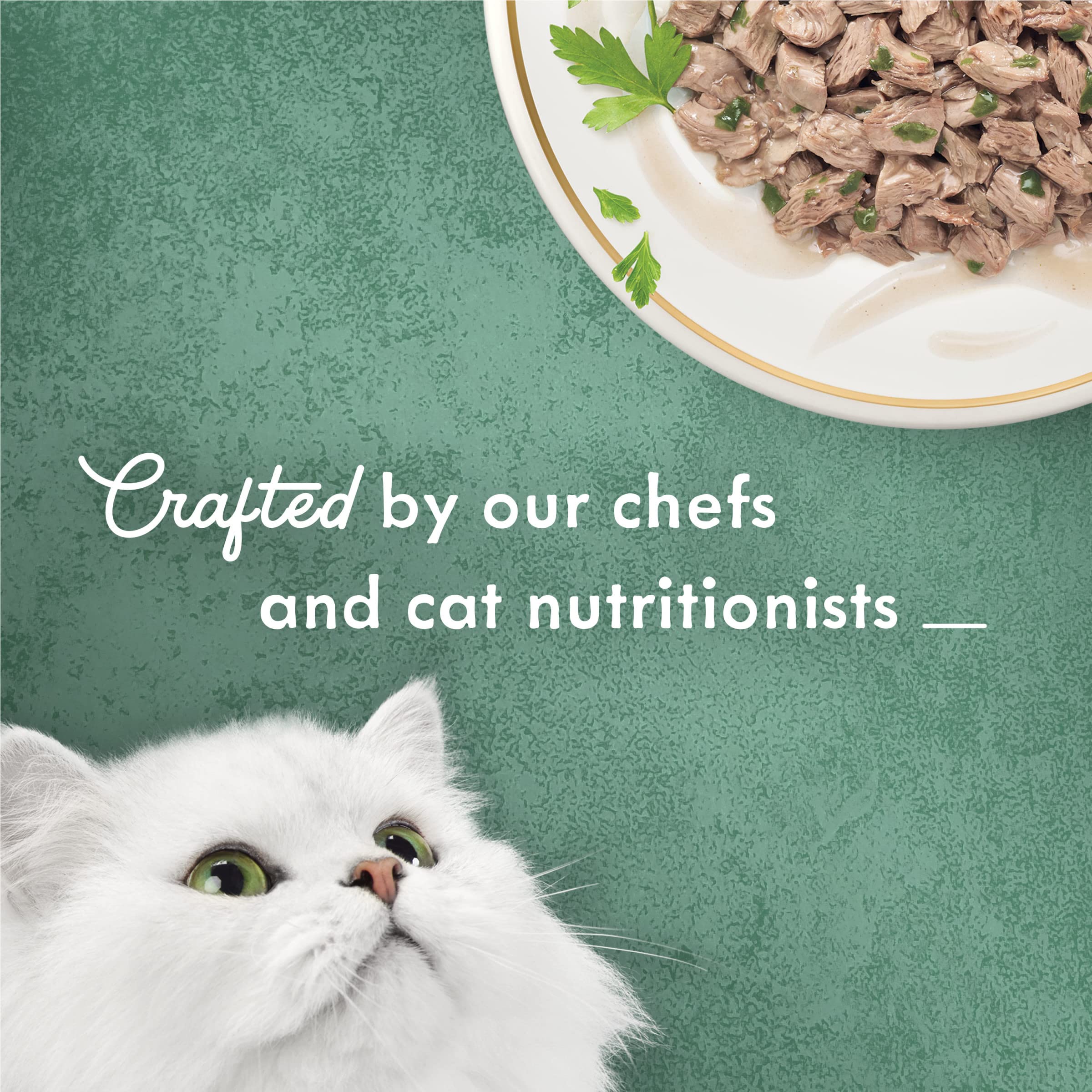 Recyclable pull-tab can image communicates easy opening for busy cat parents