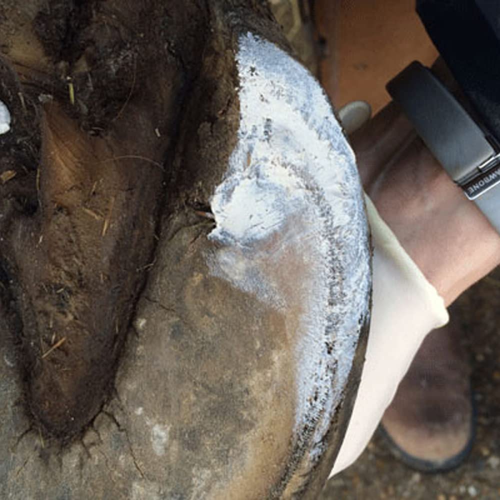 Red Horse Artimud under-shoe scene demonstrates long-lasting adhesion in real-world use.