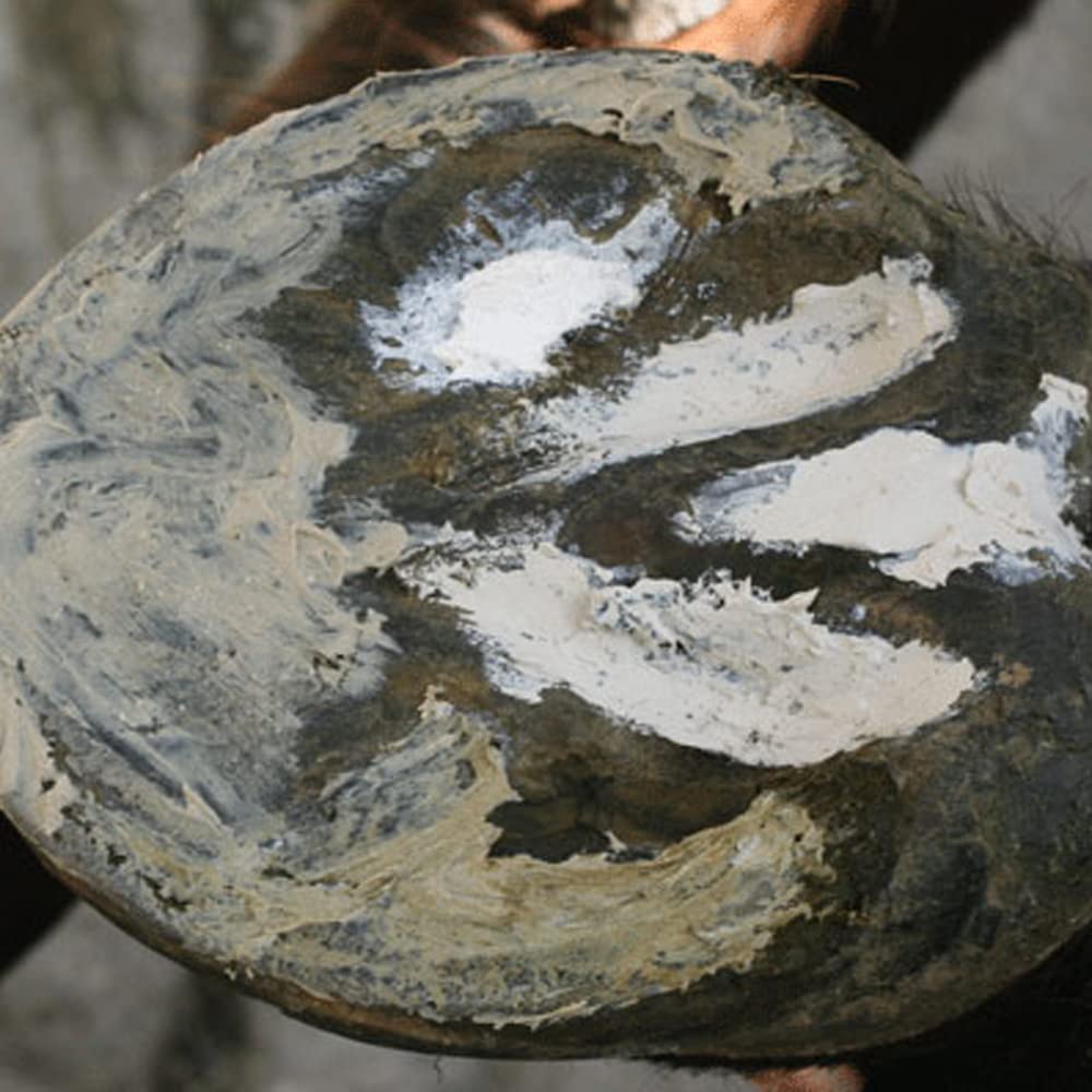 Red Horse Artimud closeup protects white line crevices and frog clefts.