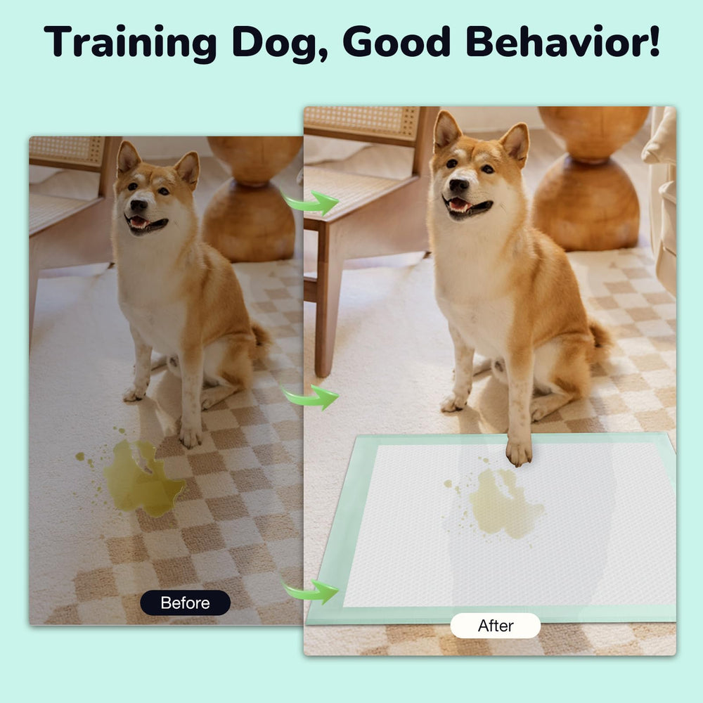 Red Rabbits crate-line use makes crate lining easy during travel