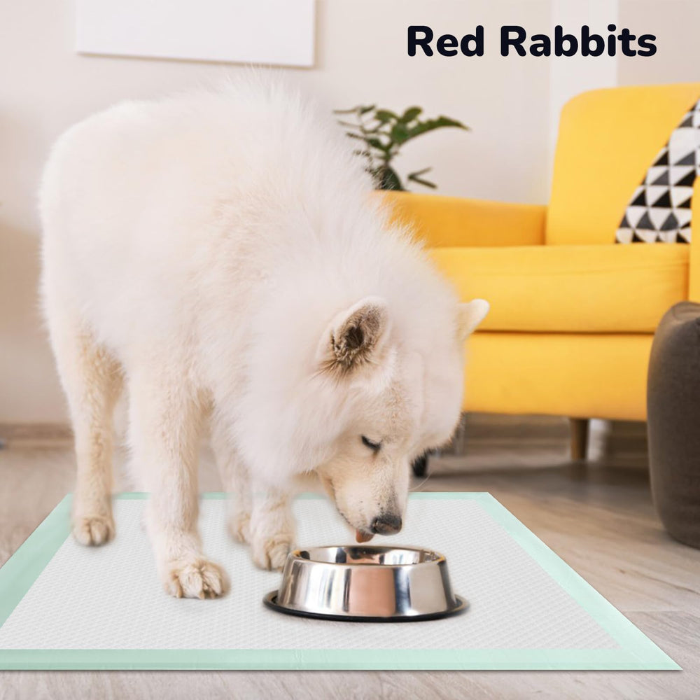 Red Rabbits 24x24 size fits standard crates and spaces