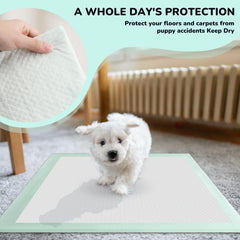 Red Rabbits puppy pads 24x24 leak-proof layer demonstrates dependable mess containment