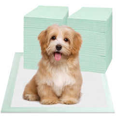 Red Rabbits puppy pee pad with absorbent core for gel locking and mess containment.