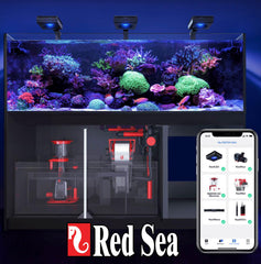 55-gallon Red Sea Coral Pro Reef Salt Mix pail in a setup scene