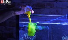 Red Sea Reef Energy Plus soft corals feeding for vitality and color.