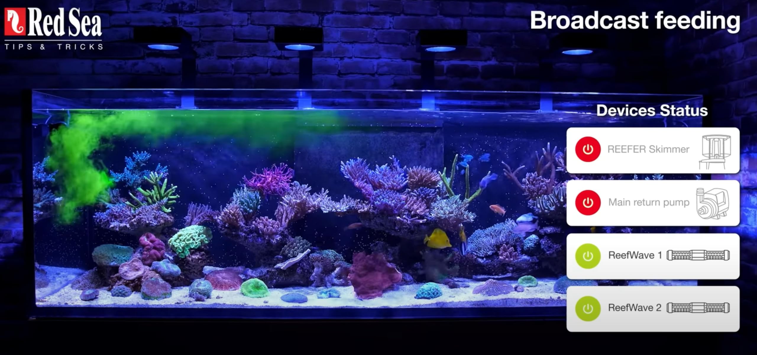 Red Sea Reef Energy Plus stored unrefrigerated for up to a week.