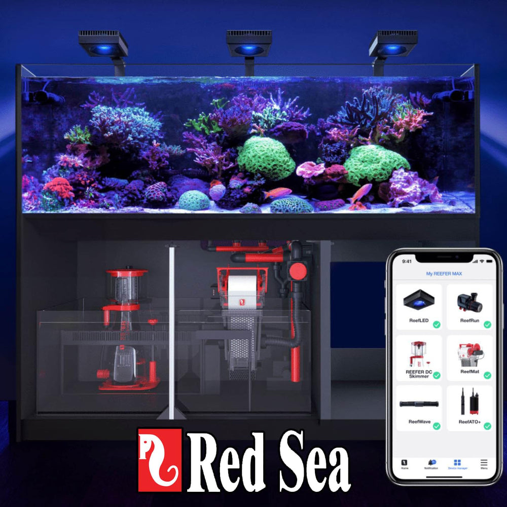 Ultra-pure ingredients emphasis for Red Sea Reef Foundation B