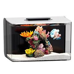 Red Tail Fish 2.5 gallon tank front view for compact beginner setup.