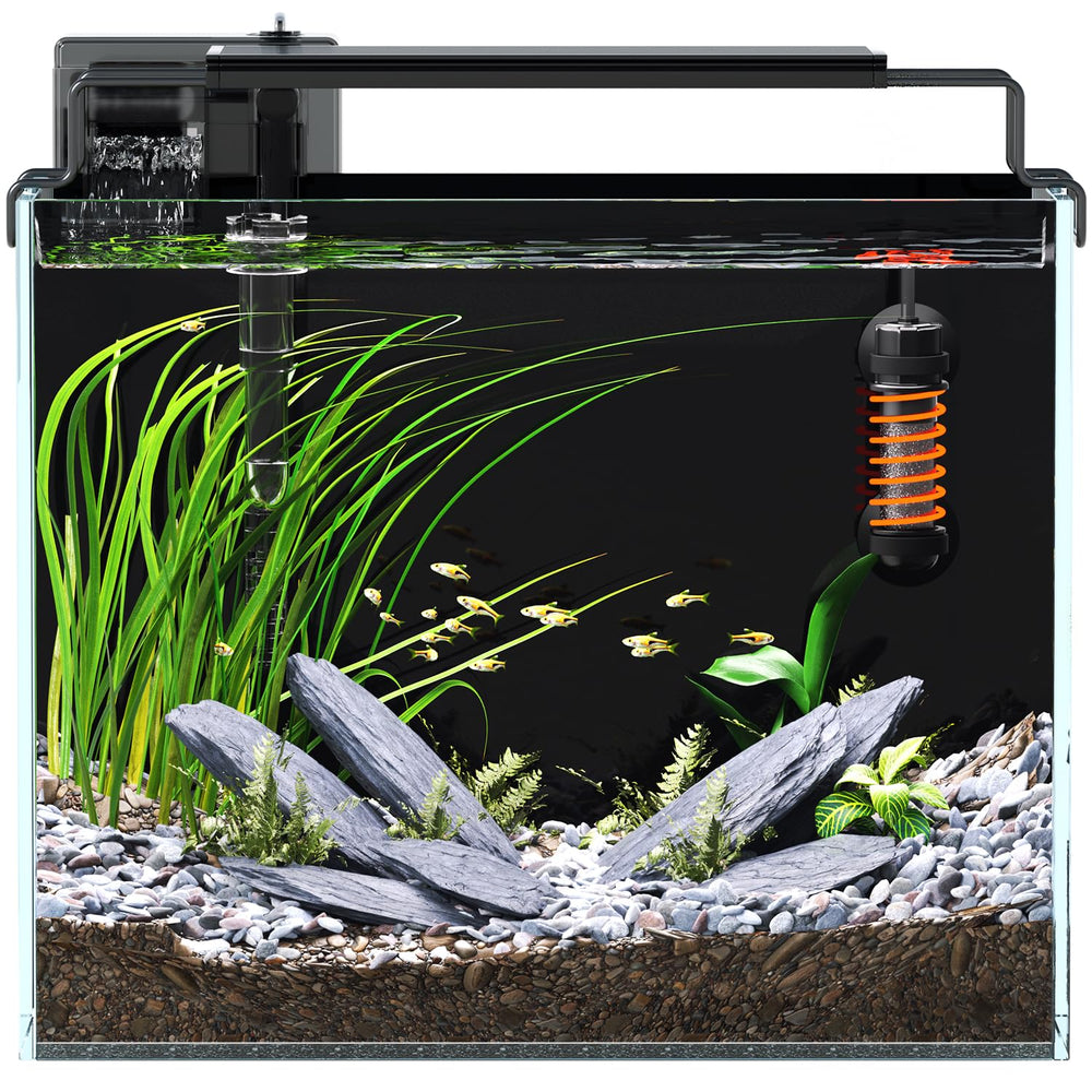 Red Tail Fish 3-gallon tank filter demonstrates reliable water filtration for small setups