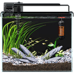 Red Tail Fish 3-gallon tank filter demonstrates reliable water filtration for small setups