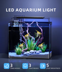 Red Tail Fish 3-gallon tank LED light enhances color and plant growth