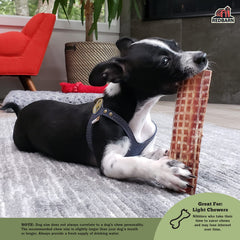 Redbarn Barky Bark Beef Jerky for Dogs slow-roasted texture highlights flavor.