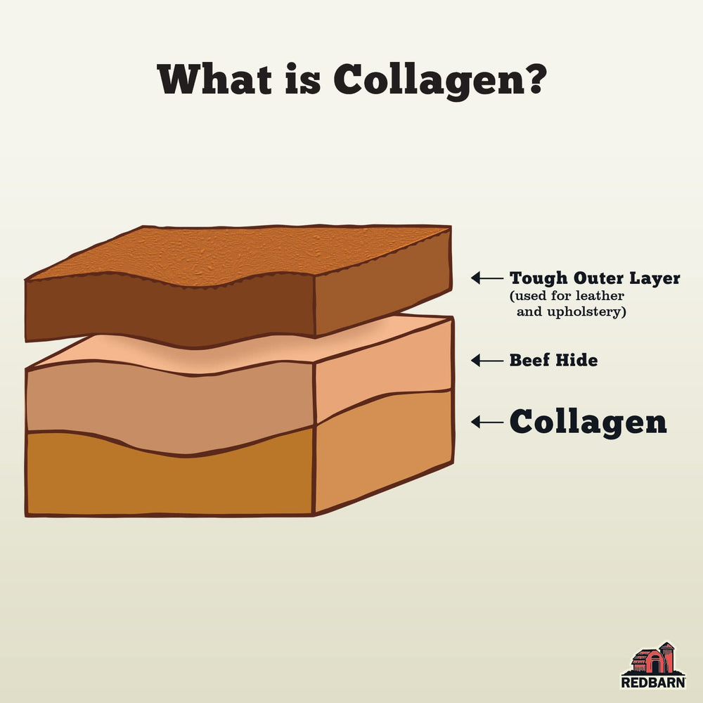 Redbarn beef collagen sticks 3-pack view highlights the convenient family pack sizing.