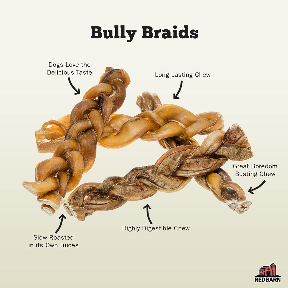 Redbarn braided bully stick close-up, highlighting natural texture for durable chewing and dental stimulation.