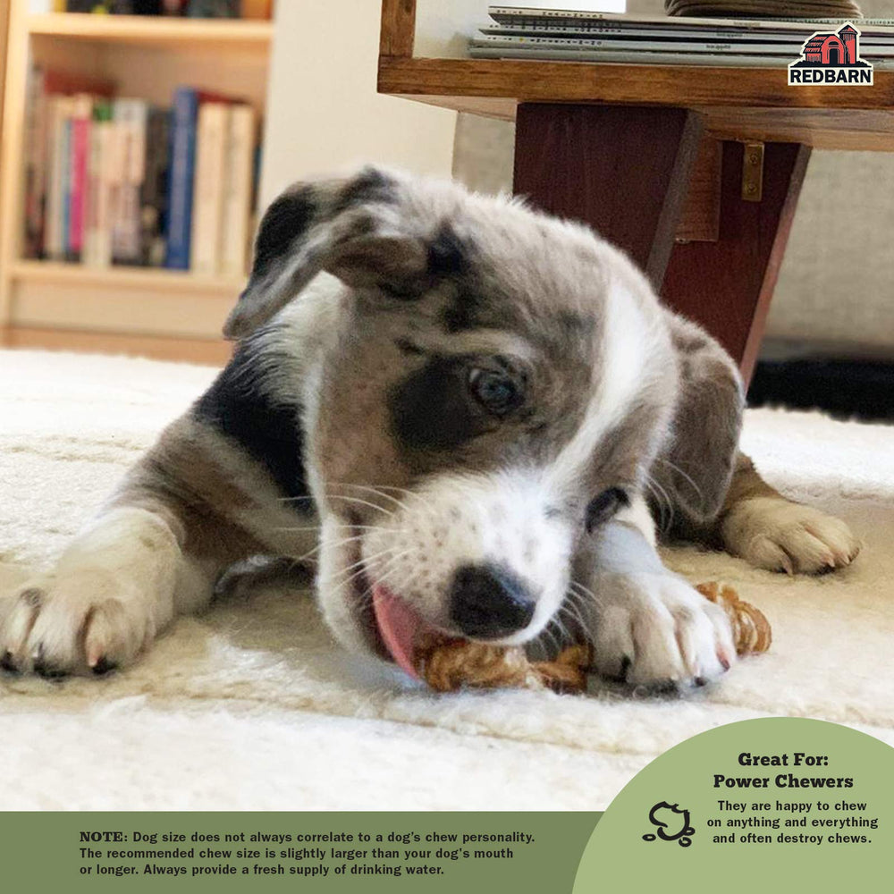 Redbarn Bully Barbells texture showcase emphasizes chewy endurance and flavor