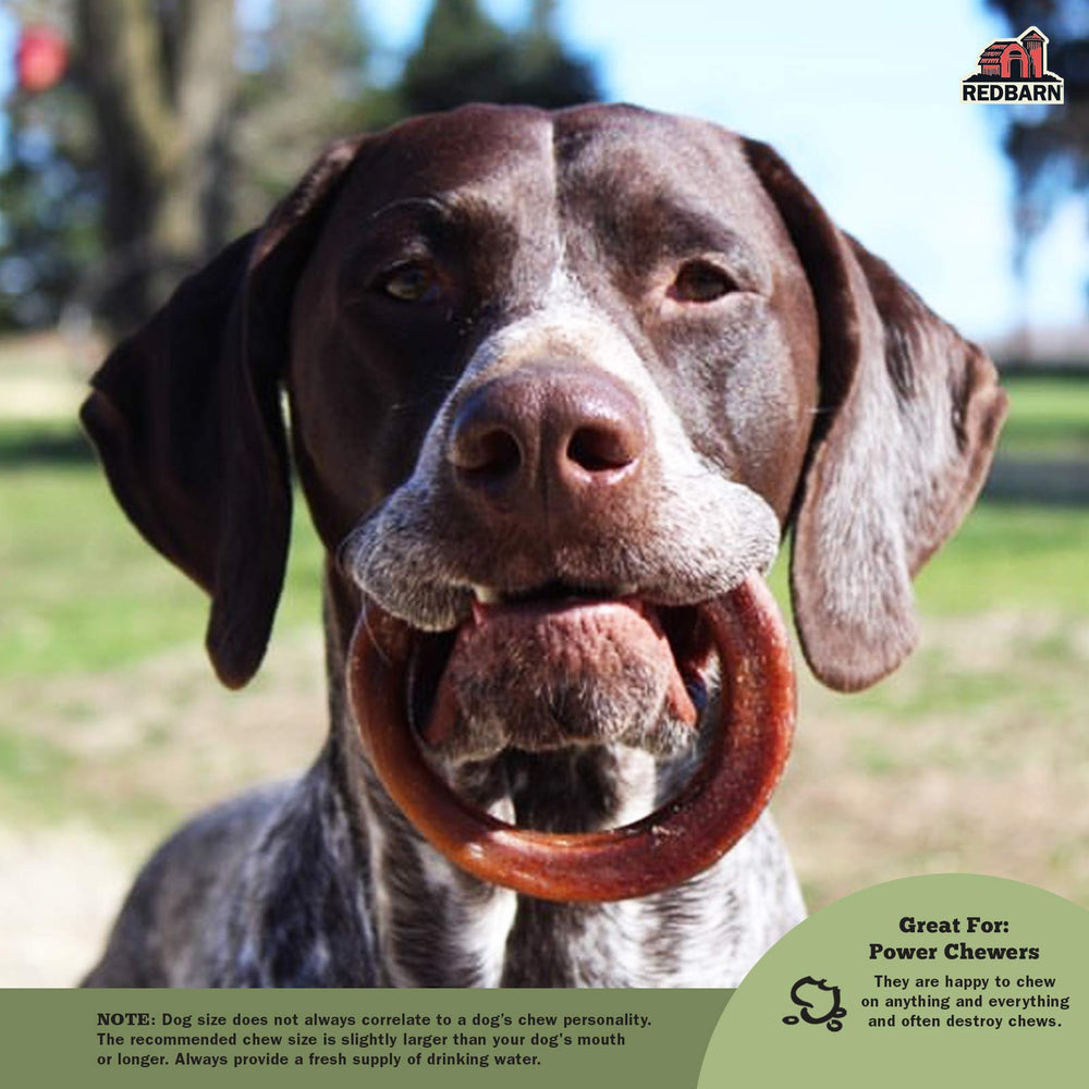 Redbarn Bully Stick Rings dog-chewing-ring keeps dogs engaged during chew time.