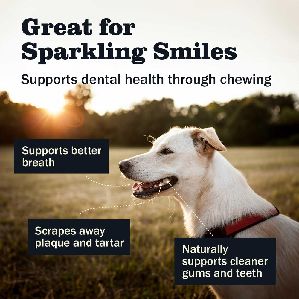 Redbarn bully sticks designed for medium to large dogs during extended chews.