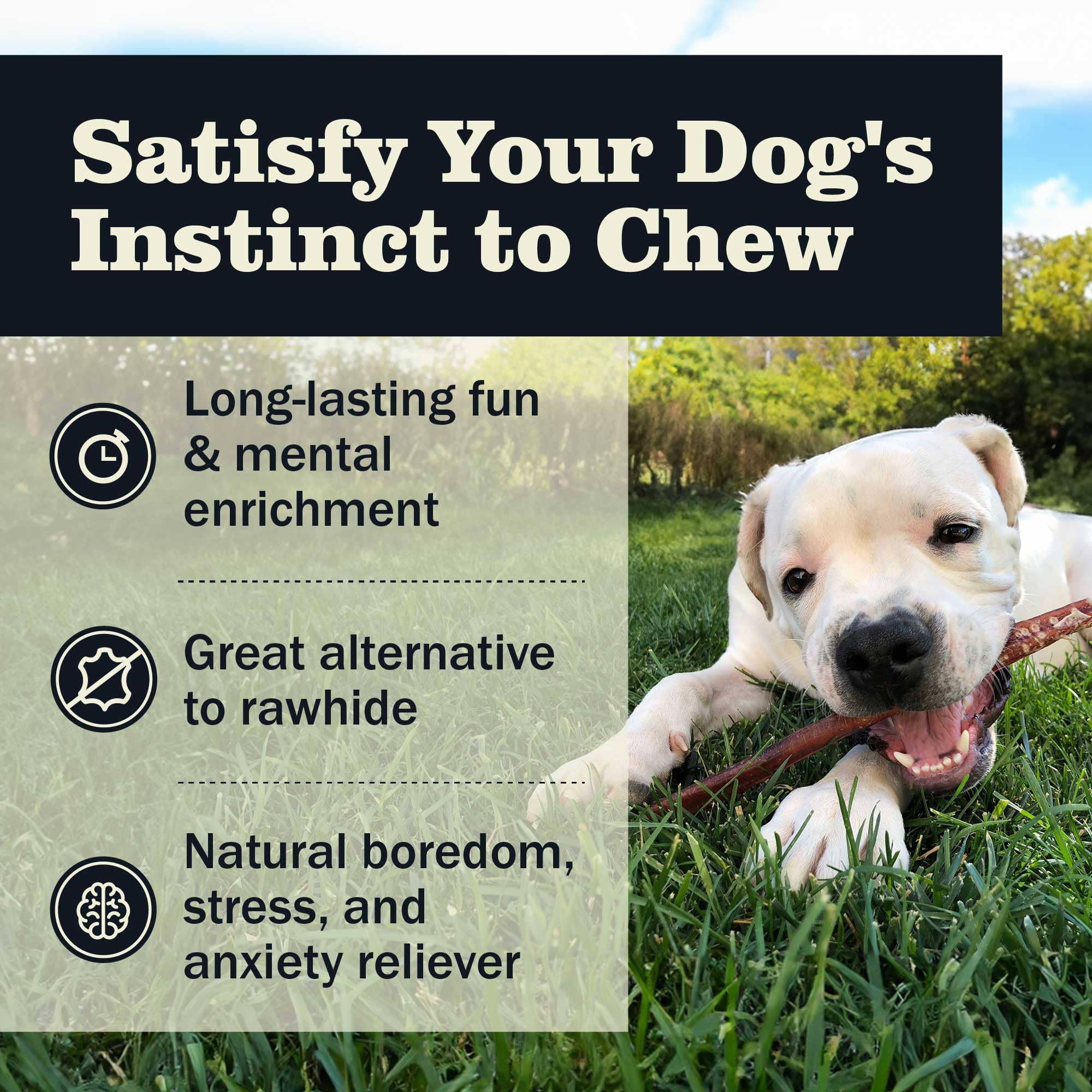 Redbarn bully sticks rawhide-free ingredient — natural beef chew.