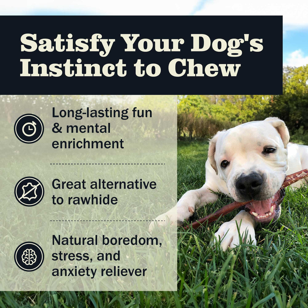 Redbarn bully sticks rawhide-free ingredient — natural beef chew.