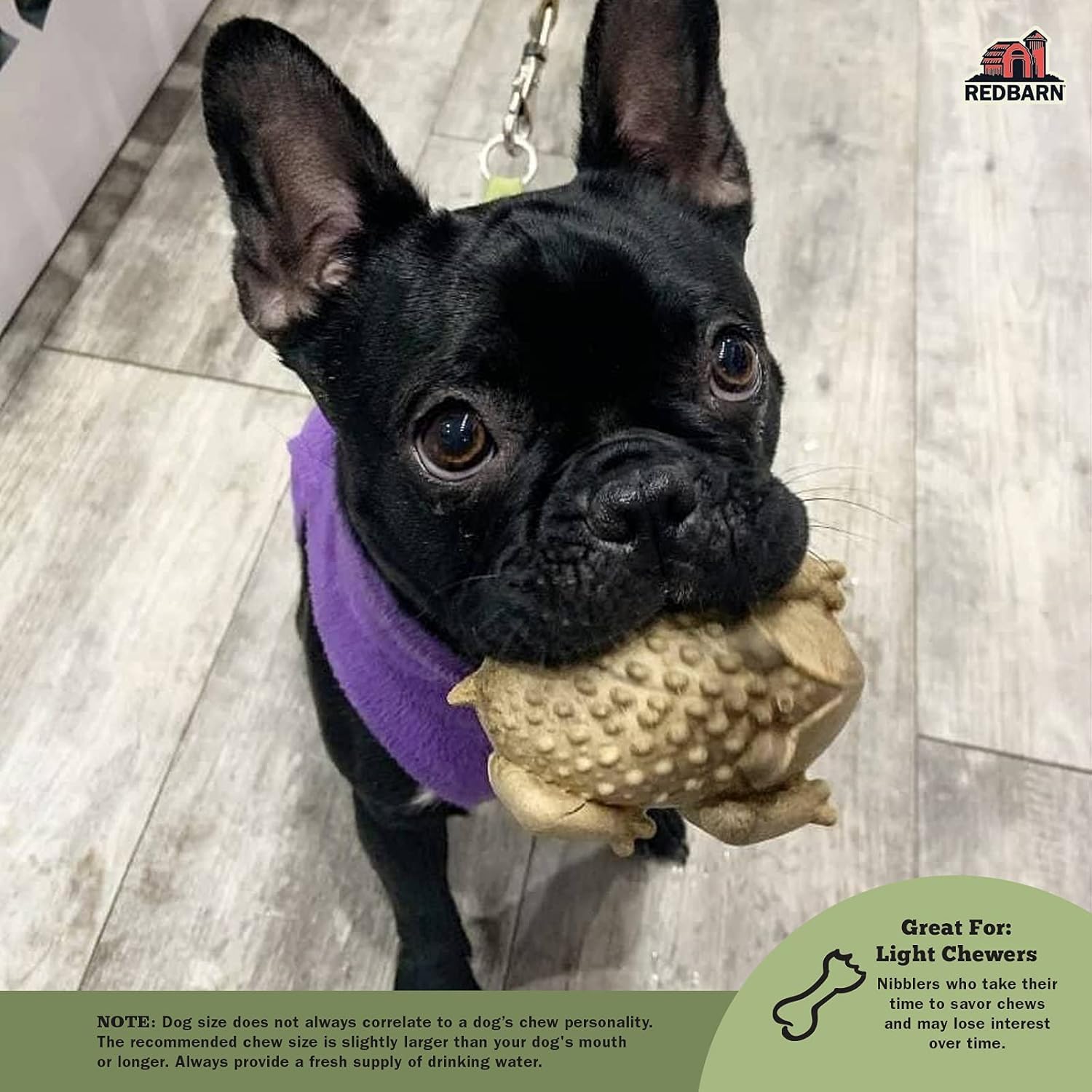 Redbarn Chew-A-Bulls shown for daily oral care during routines.