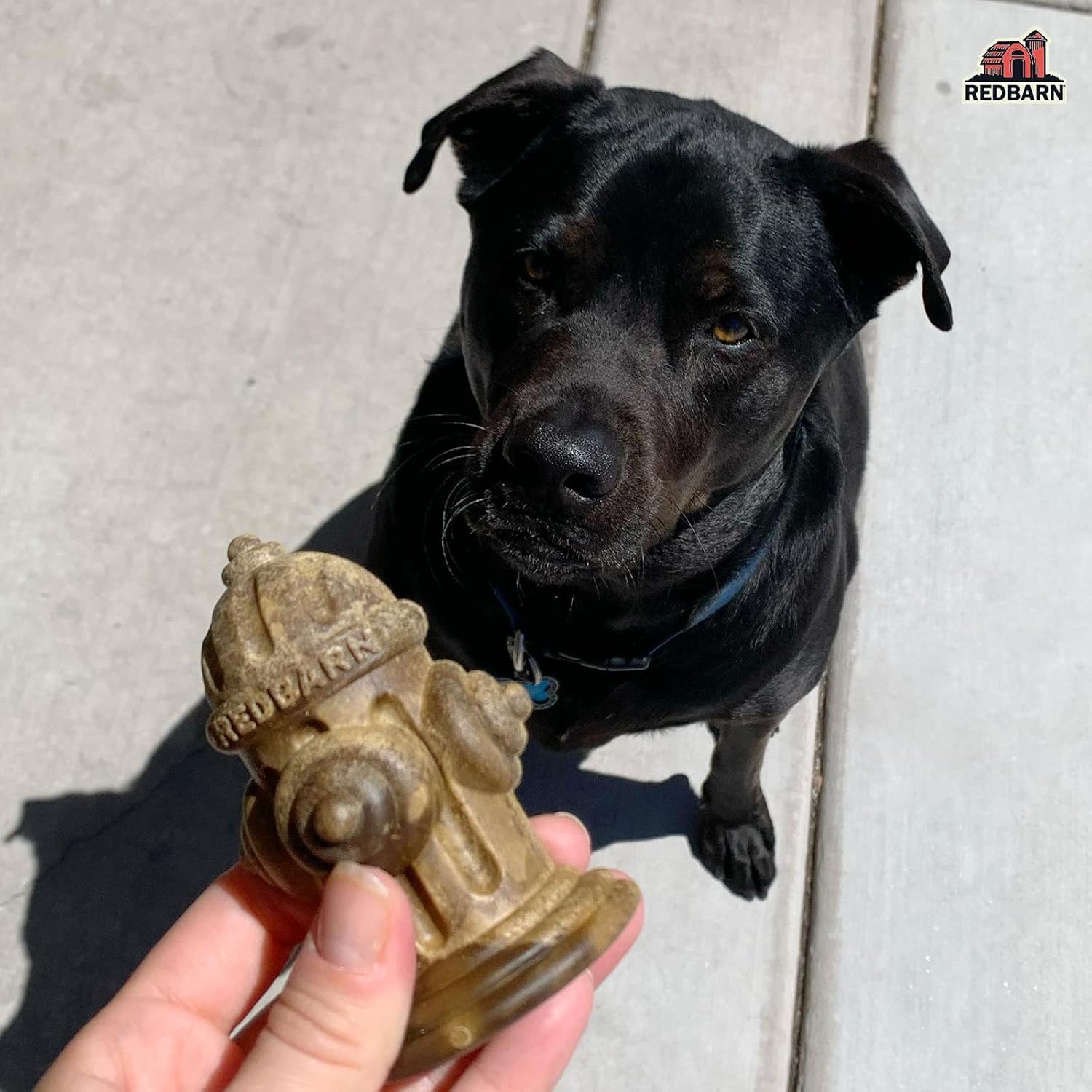 Redbarn Chew-A-Bulls simple daily serve for busy dog owners.