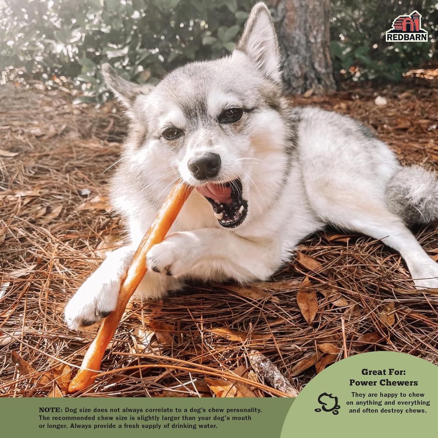 Redbarn collagen sticks dental health image highlights tartar-reducing chewing action.