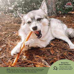 Redbarn collagen sticks dental health image highlights tartar-reducing chewing action.