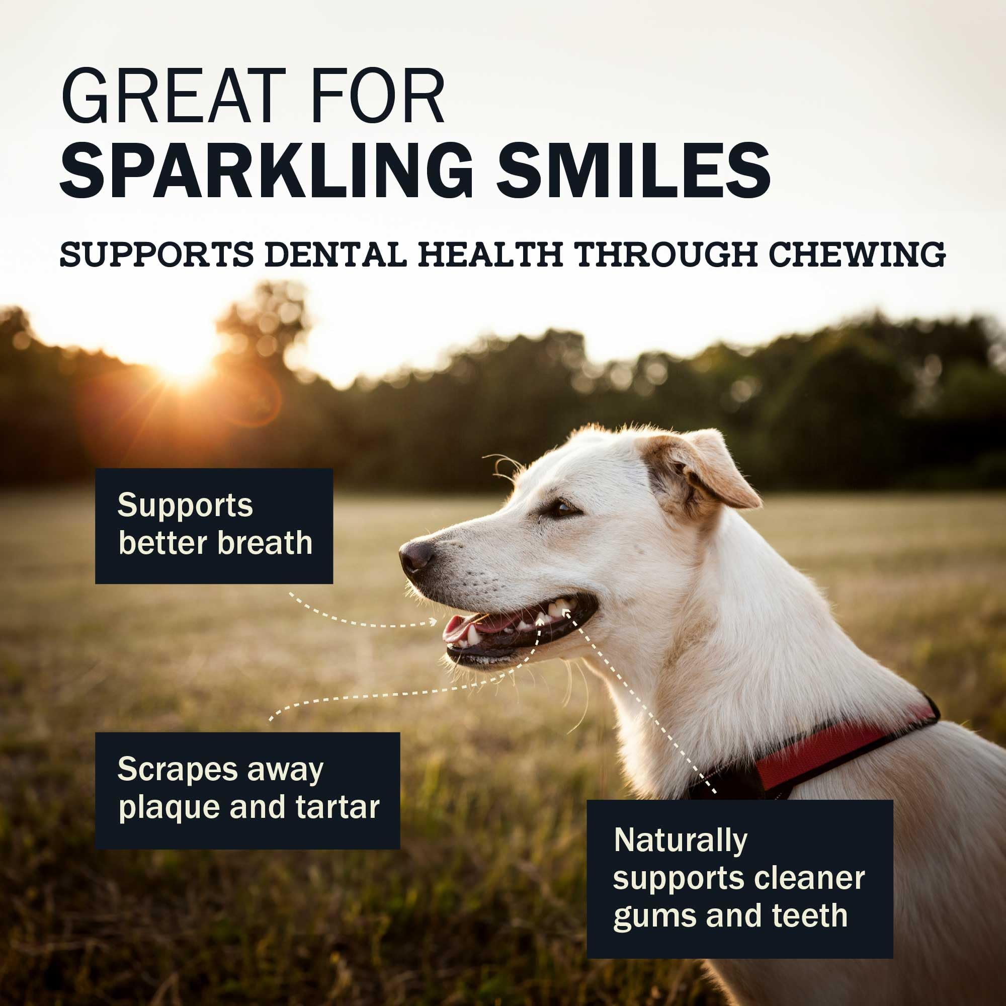 Redbarn Dur-a-Bulls dental support cue image shows gum massage potential.