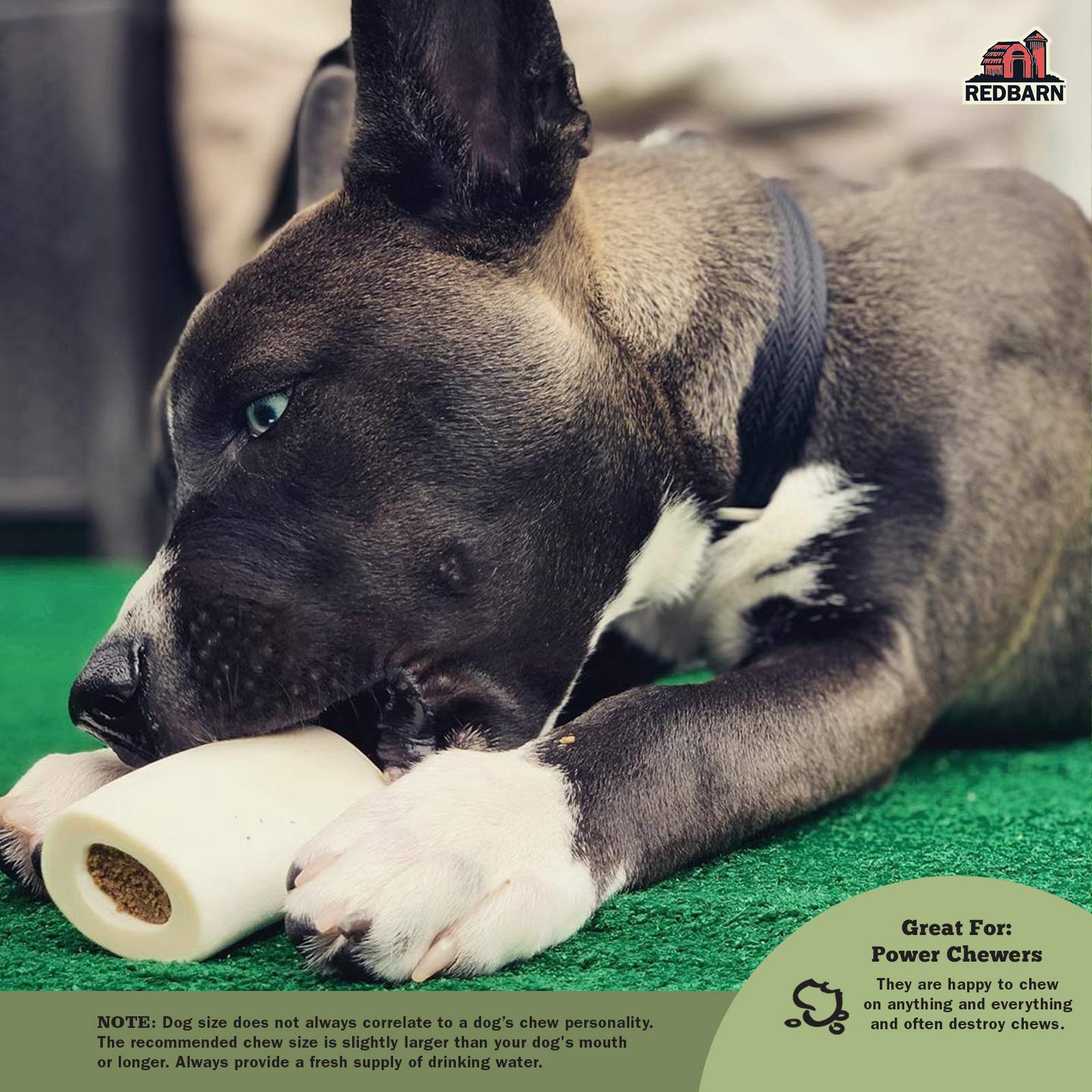 Redbarn Filled Dog Bones 6-inch chews demonstrate long-lasting entertainment for aggressive chewers