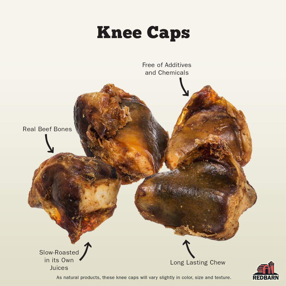 Redbarn Knee Caps close-up reveals raw beef bone texture for long-lasting chewing.