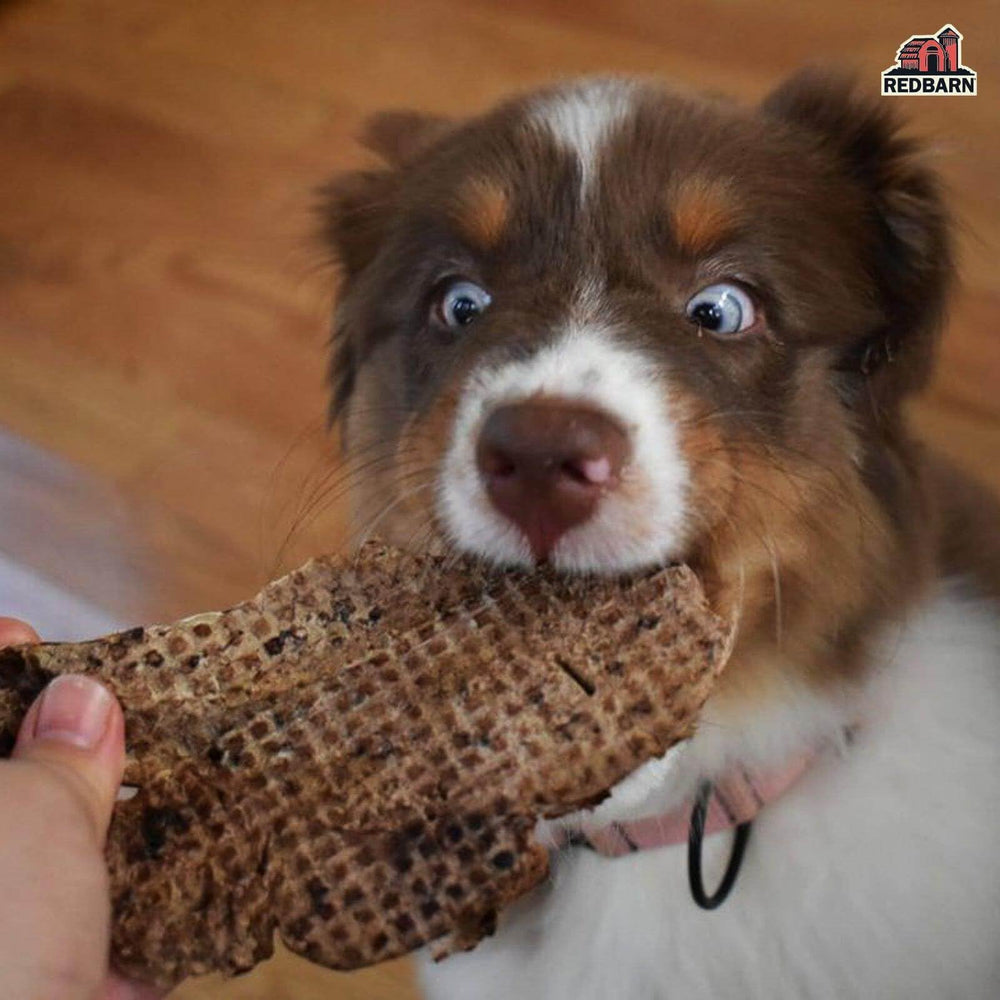 Redbarn Lamb Lung Filets broken into pieces offer precise training rewards.